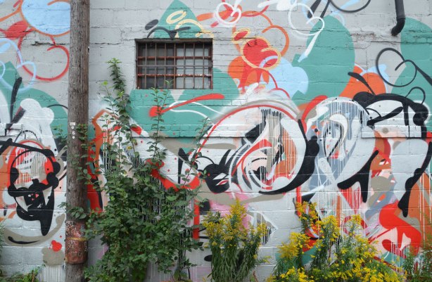 A wall with a small window with a metal grille over it, covered in street art, with weeds and goldenrod growing up in front of it