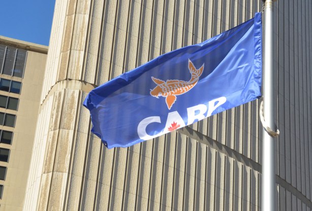 The blue flag of CARP (Canadian Association of Retired Persons) flies in front of Toronto city hall. It has an orange coloured carp fish on it with CARP underneath in block white capital letters. There is a red maple leaf in the center of the A