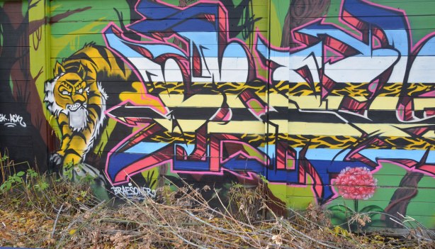 street art painting by braesoner of a tiger poking its head out from behind a tag