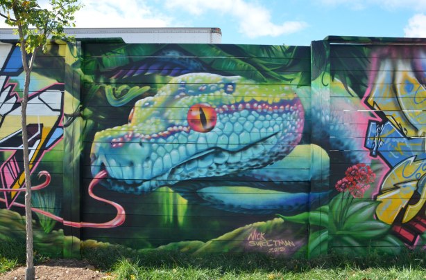 street art mural on a wall, by Nick Sweetman, of a snake head in blue, purple and green, with a long pink tongue and an orange eye