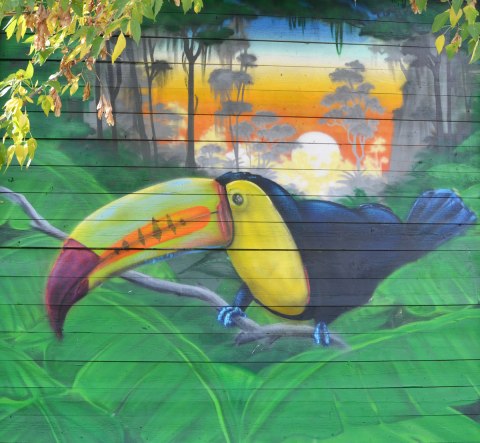 street art painting of a toucan with a colourful beak, sitting on large green leaves with a sunset in the background.