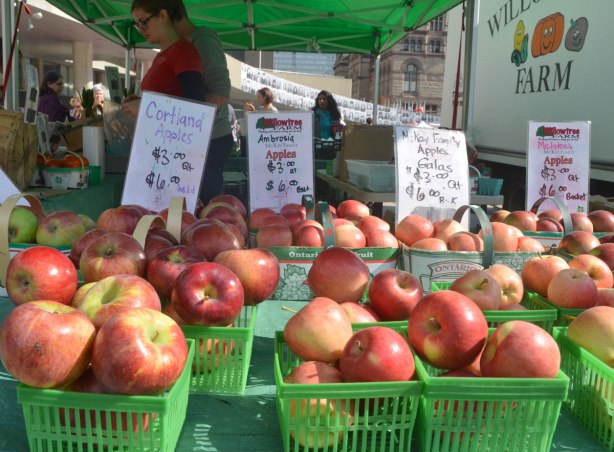 basket of apples for sale at an outdoor market, Macintosh apples, gala apples, cortland apples and ambrosia apples. 