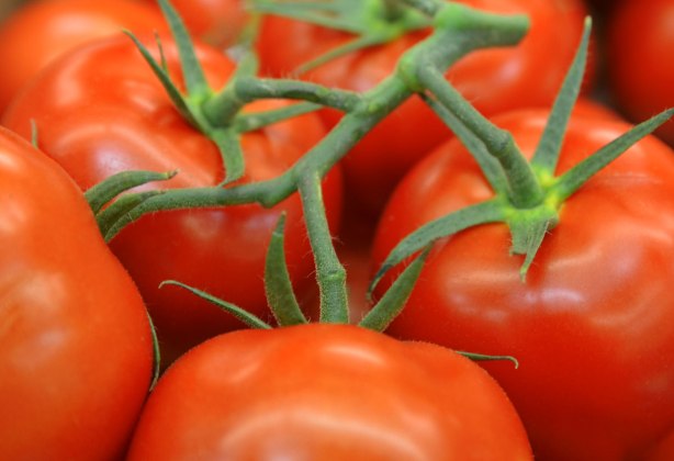 a bunch of red tomatoes with their stems and leaves still on 