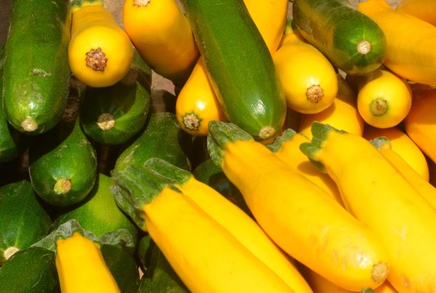 little green zucchinis and little yellow squashes for sale at an outdoor market