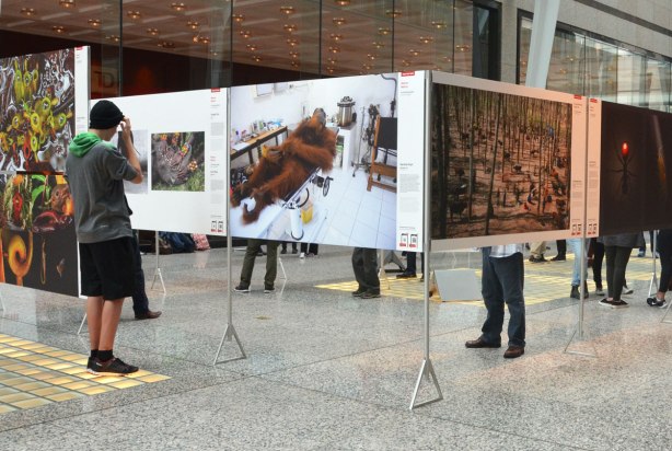 people looking at photographs, the winning pictures from the World Press Photo contest, on display at Brookfield Place 
