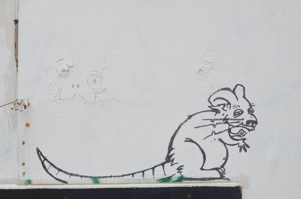 On a white wall, a black line graffiti drawing of a rat with a long tail.