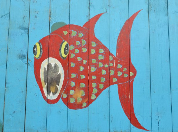 bright red fish with it's mouth open painted on a bright blue wood fence