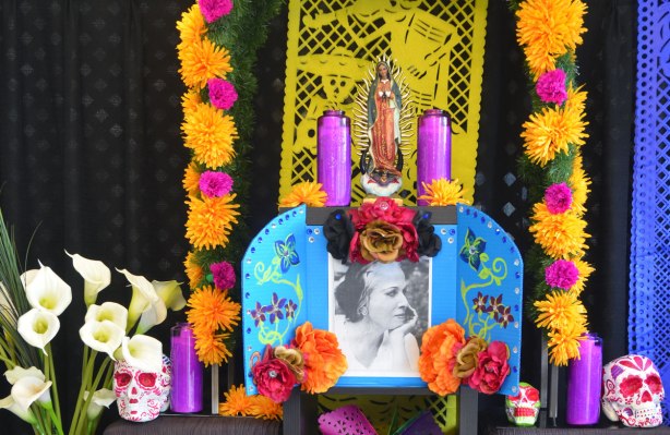 ofrenda, altar, day of the dead celebration, woman's picture along with Virgin Mary candles and other pink cnadles, lots of orange flowers too