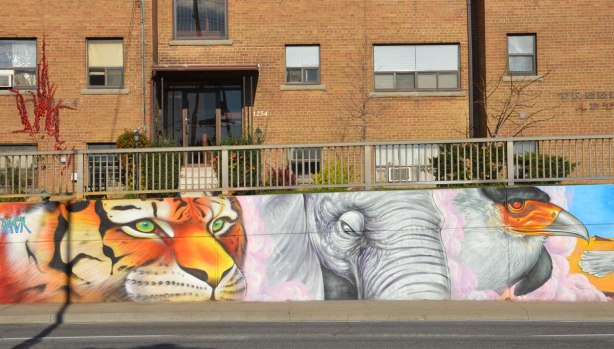 part of a larger mural on the side of an underpass, road and sidewalk in front of the photo, houses behind - a larger than life sized head of a tiger, an elephant, and a bird with a colourful beak