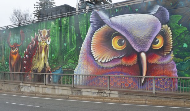 part of a larger mural on an underpass in Toronto, on Lawrence West, a large owl in purples and reds with a yellow eyes. He dominated the picture. There is also a warthog and an elk (reindeer?) behind him 