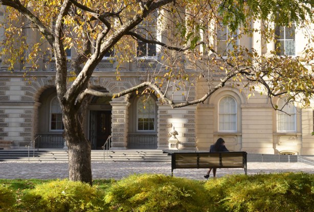 A woman sits on a bench in front of Osgoode Hall, a stone building. Her back is to the camera. A tree with a few yellow leaves frames the picture. 