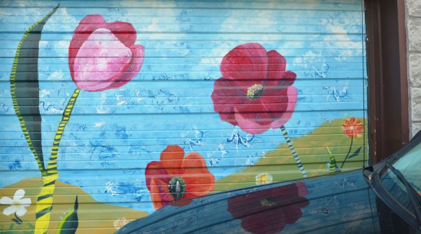 garage door mural of red poppies by bright blue sky. 
