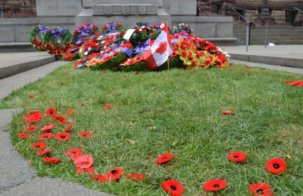 Many Remembrance day poppies lie on the grass in front of the cenotaph in front of old City Hall. In the background is a small Canadian flag as well as a few wreaths that have been laid in front of the cenotaph.