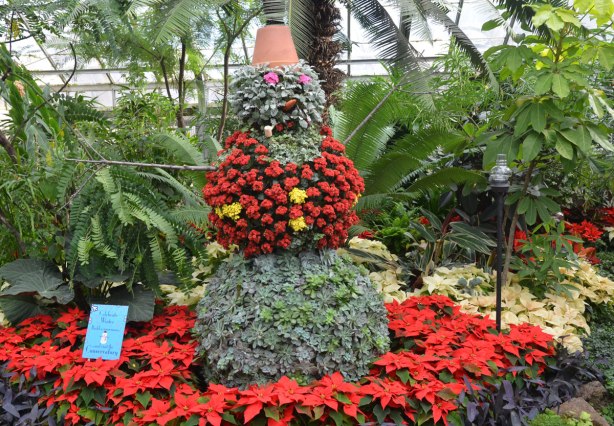 cactus and succulents grown on a snowman shape, with a carrot nose and a corn cob pipe in its mouth, and a clay flowerpot for a hat - a vest of red flowering plants and surrounded by a circle of red poinsettias