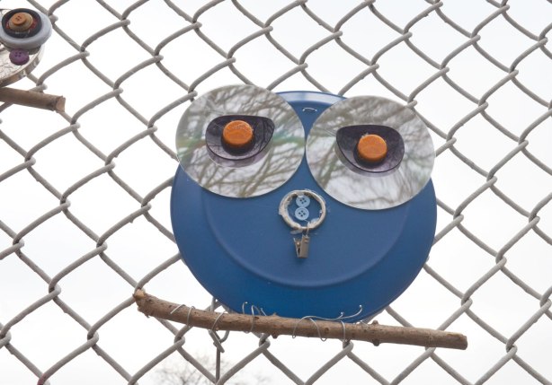 owls made of recycled goods, foil pie plates, CDs, bottle tops, there feet are wrapped around twigs and they are attached to a chainlink fence - also blue buttons for the nose