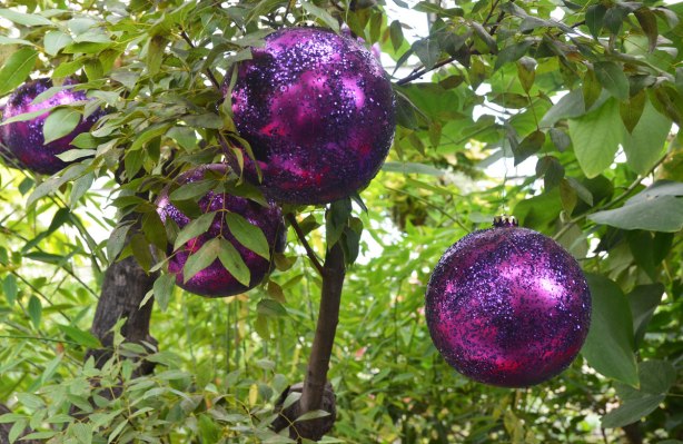 large purple Christmas balls with glitter on them, hanging from a tree