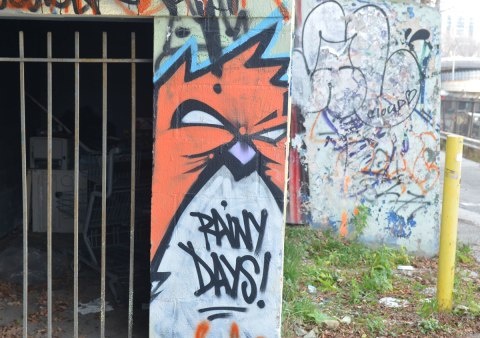 graffiti street art in an alley - an angry bird bird with the words Rainy Days