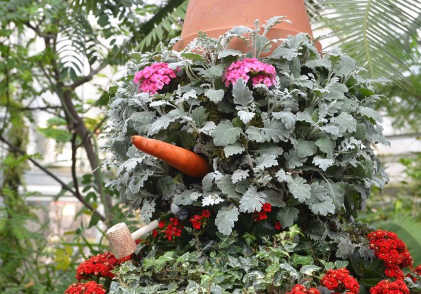 cactus and succulents grown on a snowman shape, with a carrot nose and a corn cob pipe in its mouth, and a clay flowerpot for a hat - close up of the head