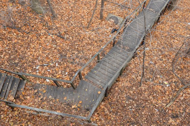 long wooden staircase going downhill in autumn with lots of dead leaves on the ground
