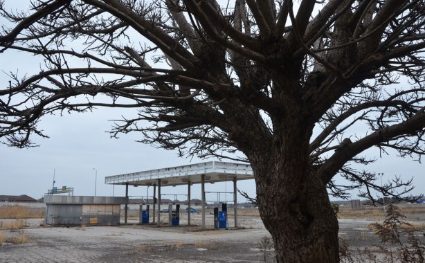 one gnarly tree with no leaves in the foreground, abandoned fuel pumps in the background, with QEW highway behind that 