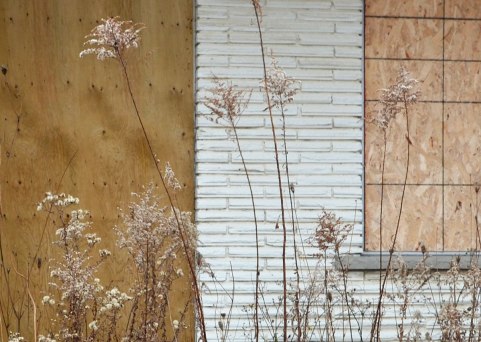 November weeds growing up in front of an abandoned motel, white brick wall with boarded up door and window