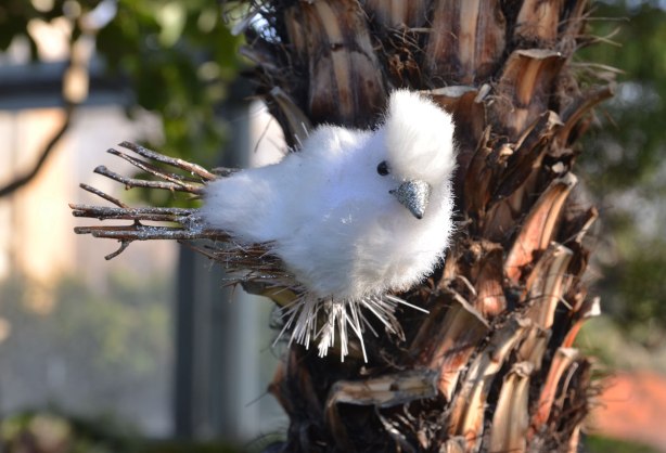 A white bird decoration, not a real bird, with twigs for a tail and for his feet, is perched on the branch of a tree
