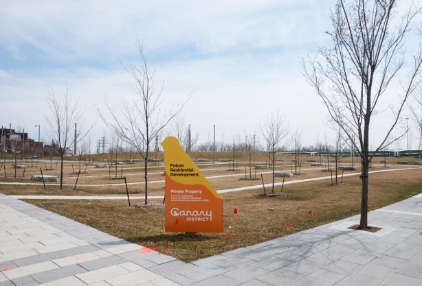 A large plot of land with rocks and newly planted trees in a grid. An orange and yellow sign advertises the Canary District. It also says that this land is slated for future residential development