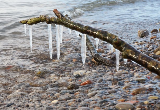 icicles hang from a stick that is embedded in the sand beside a lake. pebbles, water.