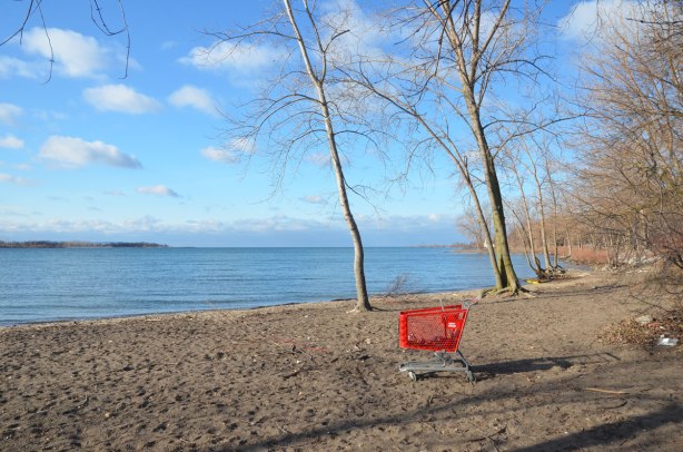 an abandoned red plastic shopping cart with a Value Village label on a beach, long shadows, a few trees, Cherry Beach, Lake Ontario. There are some empty cans in the cart 