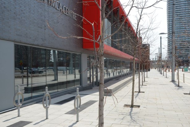 looking south on Cherry Street from Eastern Ave, past the new Cherry Street YMCA on the left and all the new trees that have been planted. 