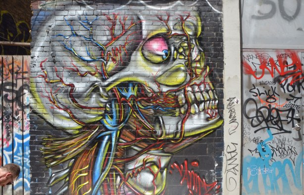street art painting of a larger than life, realistic depiction of the blood supply to the human head. Skull with eyeball, teeth, some neck muscles as well as arterial and venous blood vessels. In profile. 