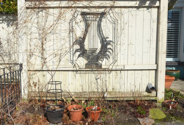 A small white fence with some empty planters in front of it. Old vines are on it (no leaves). There is a frame for plants to cling to in the shape of a lyre that is attached to the fence