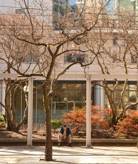 A man sits on the edge of a large planter with trees and shrubs in it in front of Roy Thomson Hall. There are no leaves on the tree yet. 