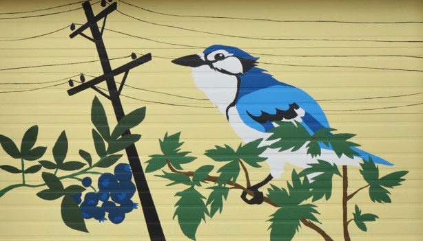 mural on a pale yellow garage door of a blue jay sitting on hydro wires, also a bunch of wild blueberries is in the image