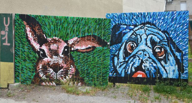 Two sections of a fence painted with animal heads - a brown bunny on a green grass background and a blue pug dog 