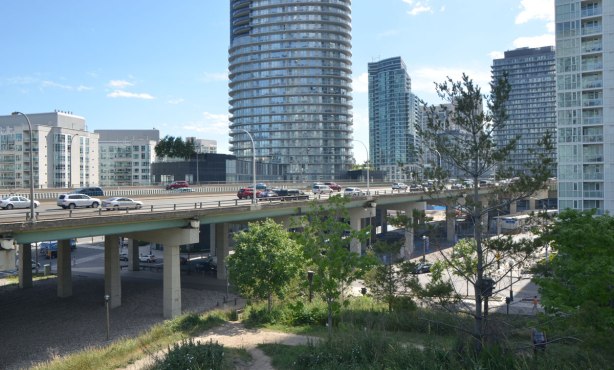 The elevated Gardiner Expressway with traffic is in the middleground, some trees and parkland in the foreground, and condo developments in the background. 