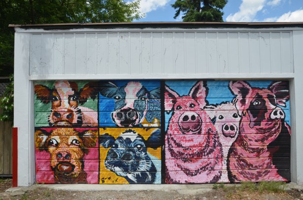 graffiti street art animals painted on garage door in an alleyway - four cow heads and three pink pigs 