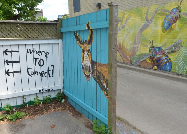 graffiti street art animals painted on garage door in an alleyway - a donky's head on a turquoise fence