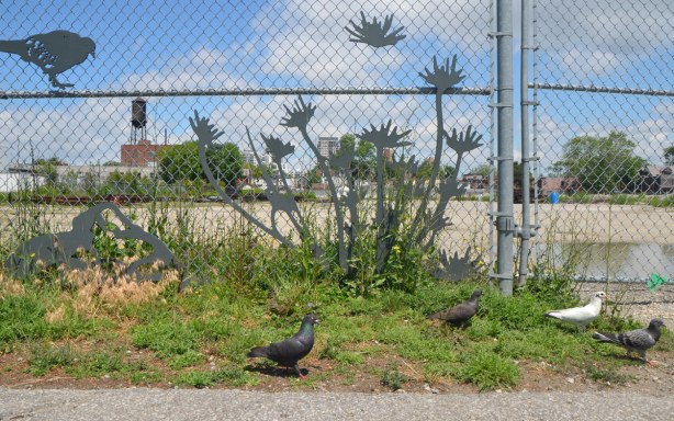 a chainlink fence with some metal cut outs of flowers and pigeons on it, with weeds growing up in front of it, and a few real pigeons on the ground.