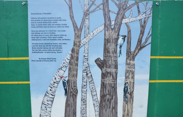 mural painted on TTC construction hoardings, trees and birch trees with no leaves on them, with a couple of woodpeckers
