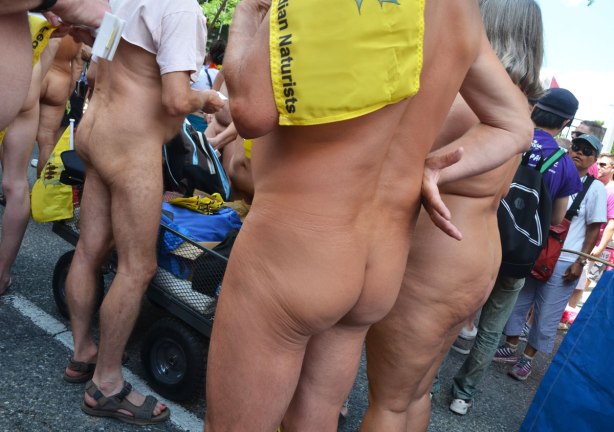 a group of naturists , mostly seen from the backside, naked bums, bare bodies 