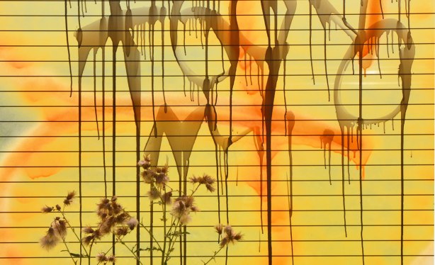 glass that has been spray painted yellow and orange, with some black that has run, weeds are growing in front of it, the sun is shining from behind it