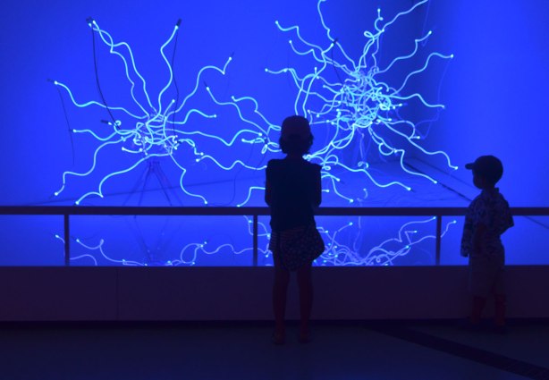 two kids standing in front of an exhibit with blue neon lights twisted into tumbleweed shapes, backs to the camera