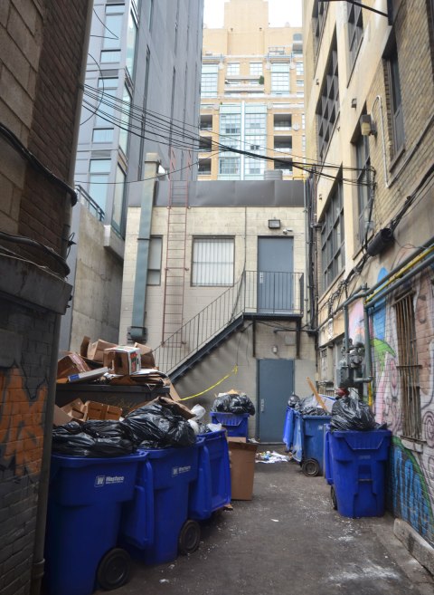 looking down a dead end alley, lots of blue rubbish bins that are slightly overflowing, tall buildings on either side. The back of a two stroey building straight ahead with taller buildings behind