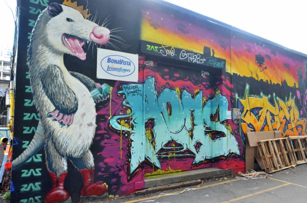 street art of a large possum standing on its hind legs, and standing beside an open door 