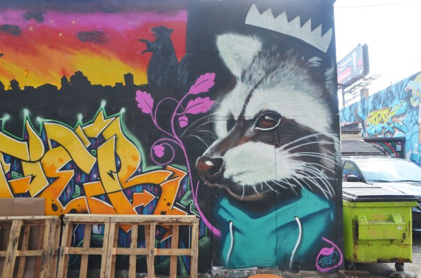 large street art animal, raccoon, in a mural, with a white crown on his head