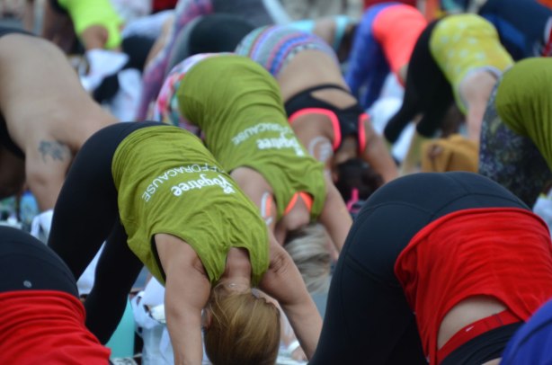a group od people outside, all with bums up in the upward dog position (I think). All doing yoga in a yogathon 
