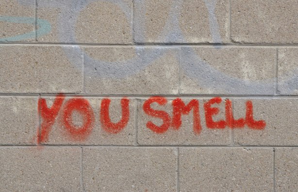 on a concrete block exterior wall, spray painted words that say you smell 