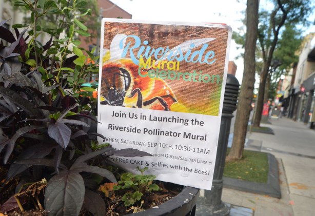a poster is stuck into a sidewalk planter, advertising a launch of a mural on Saturday 10th September. 