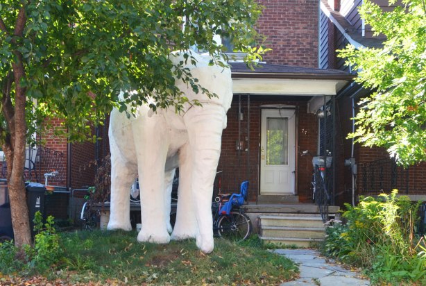 a large white plaster? elephant stands in the frontyard of a house, tree beside it, bikes parked behind it. Residential street. 
